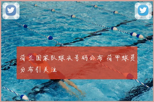 荷兰国家队球衣号码公布 荷甲球员分布引关注