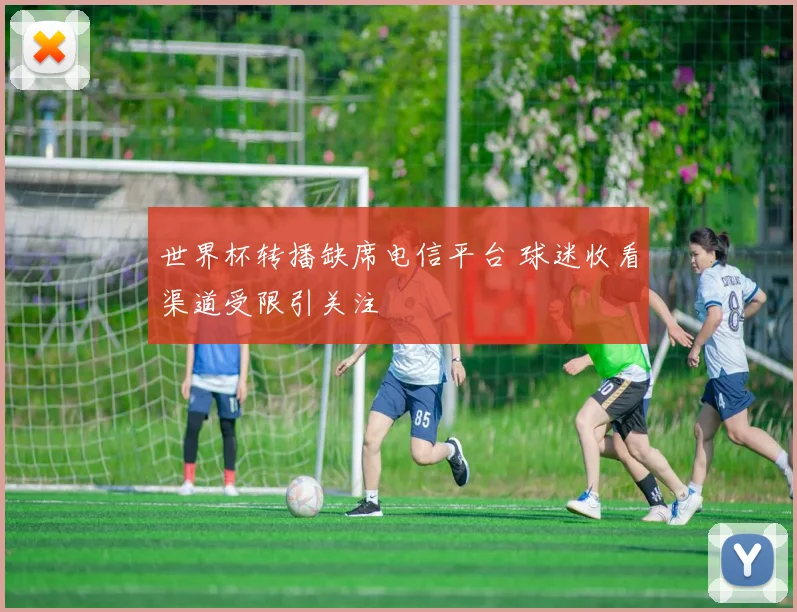 世界杯转播缺席电信平台 球迷收看渠道受限引关注