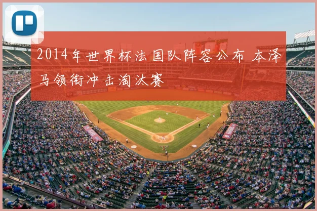 2014年世界杯法国队阵容公布 本泽马领衔冲击淘汰赛