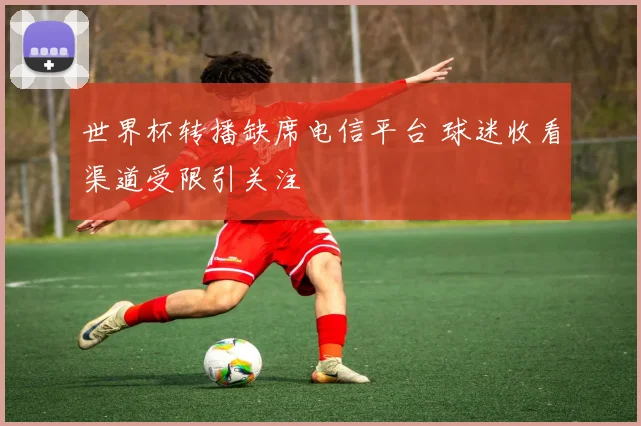 世界杯转播缺席电信平台 球迷收看渠道受限引关注